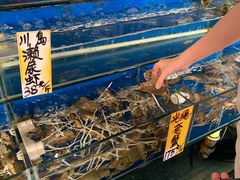 水产区-海精英海鲜世界(台海路店)