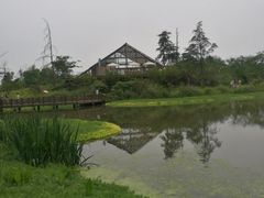 -桤木河湿地公园