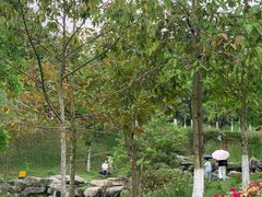-东莞植物园