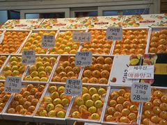 -西归浦每天偶来市场