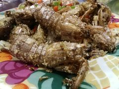 -小叶大馅饺子城