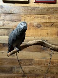 -Zoolung Zoolung动物主题公园(海信广场店)