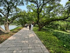 -江心屿景区