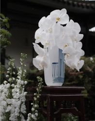 点击看大图 -王府花园酒店·宴会厅