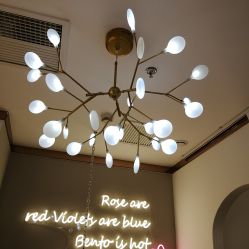 -Hi Beauty Skin 科技美肤中心