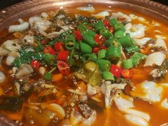 -沪小二炭火蛙锅(淮海中路美食不夜城店)