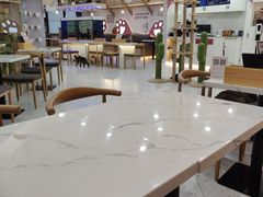 -喵园·猫主题咖啡厅·撸猫·猫咖(国贸店)