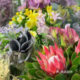 花花好美喔[胜利]