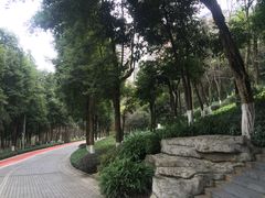 -龙头寺公园
