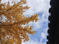 -北寺塔