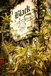 店内环境-老黑造型