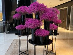 -上海中航虹桥机场泊悦酒店