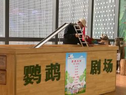 -未来动物城主题公园(正弘城店)