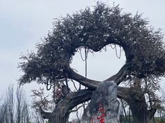 -昌州古城