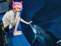-华夏文旅海洋公园