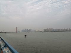 -运河游船(武林门码头)