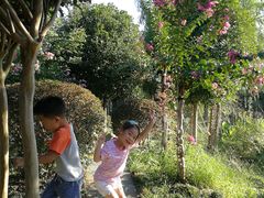 -武汉紫薇都市田园