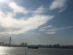 -游心咖啡(青山滨江店)