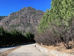 -北京鹫峰国家森林公园