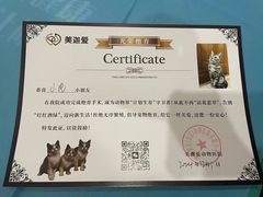 -美迦爱-牙专科·兔科·骨科诊疗中心(北苑店)