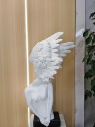 -上海伊莱美医疗美容医院