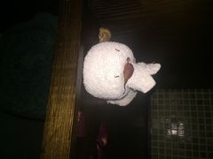 日月谷温泉渡假村-厦门日月谷温泉渡假村