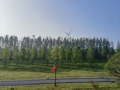 -黄海国家森林公园