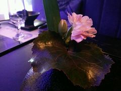 -王家渡火锅(金宝汇店)
