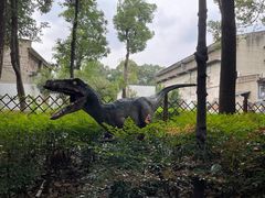 -峨眉电影制片厂宿舍