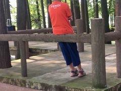-东湖落雁景区