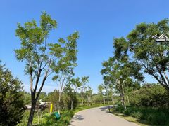 -东郊湿地公园