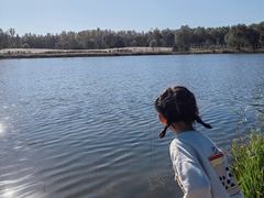 -东郊湿地公园