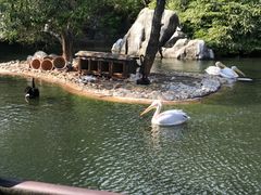 -昆明动物园