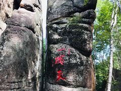 -汤旺河林海奇石景区