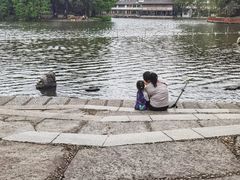 -荔湾湖公园
