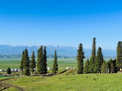 -新疆那拉提国家旅游度假区