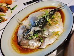 清蒸刁白鱼-禧宴Joyous Restaurant(禧园店)