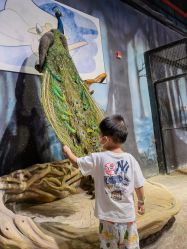 -酷嗒动物文化乐园(cutezoo西溪乐天城店)