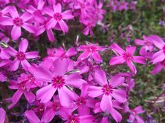 -石岛赤山风景区