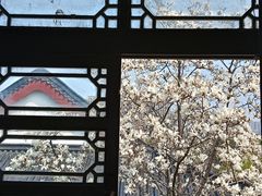 -堤角公园