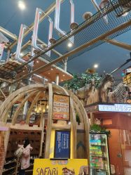 -卡通尼·Safari非洲探索乐园·生日会(金桥国际商业广场店)