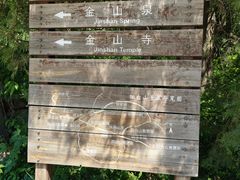 -阳台山自然风景区