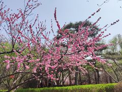-迎泽公园