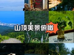 -梅沙尖