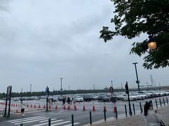 -迪士尼乐园停车场