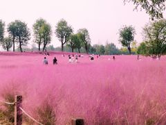 -汉长安城未央宫国家考古遗址公园