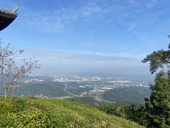 -黄埔油麻山森林公园