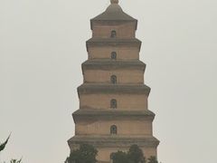 -魏家凉皮(大雁塔南广场餐厅)