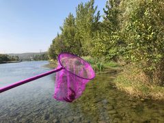 景点-淇河国家湿地公园