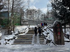 -横道河子东北虎林园